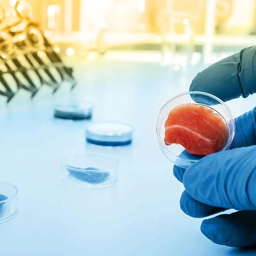 凱愛瑞發(fā)布2022全球風(fēng)味圖譜，帝斯曼成立新食品飲料事業(yè)部——有料Weekly技術(shù)交流